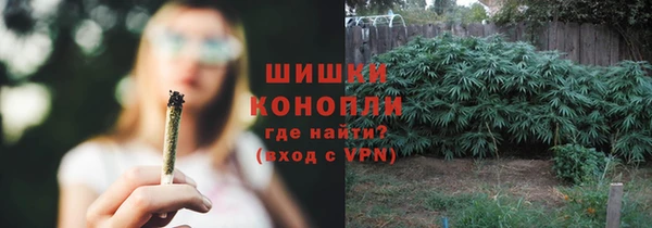 прущие грибы Верея