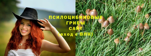 прущая мука Магадан